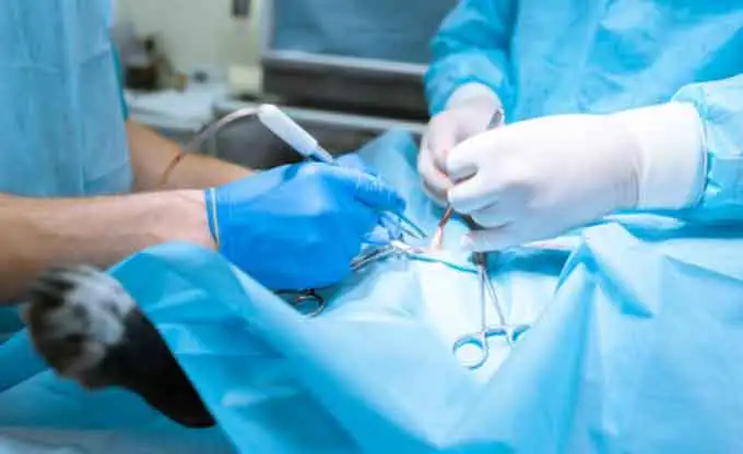 Avantages de l'équipement chirurgical vétérinaire